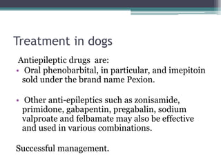 gabapentin and zonisamide for dogs