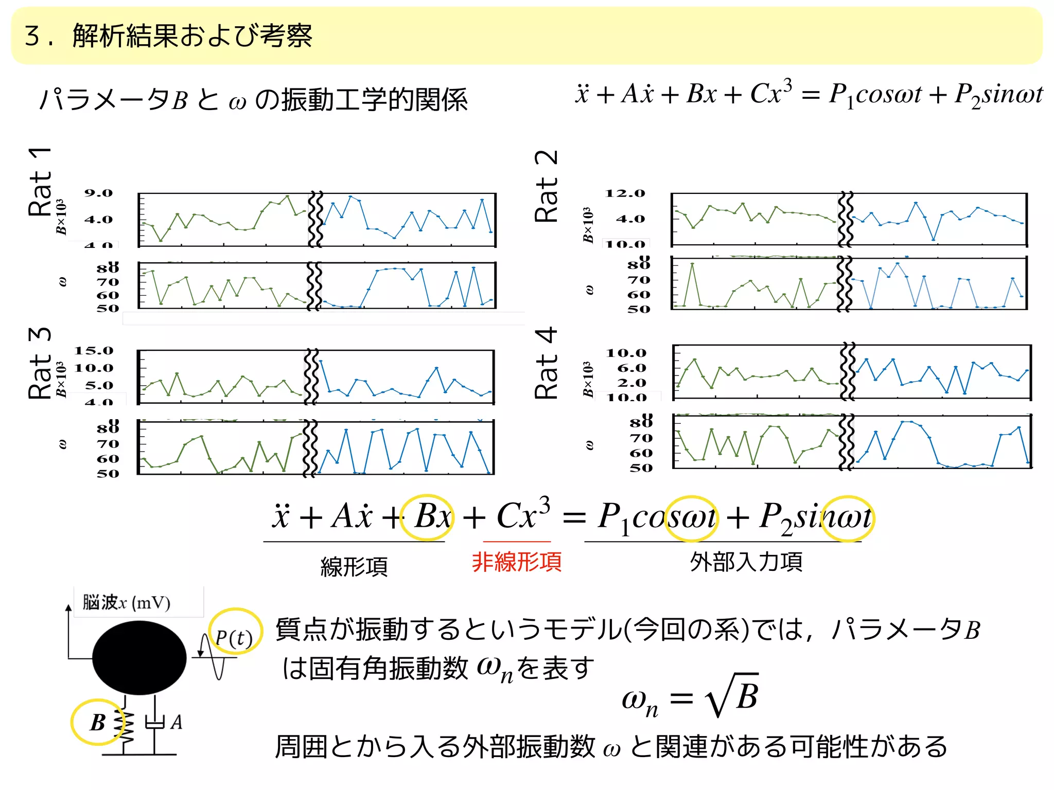 パラメータB と ω の振動工学的関係
Rat1
Rat2
Rat3
Rat4
ωB×103ωB×103
ωB×103ωB×103
··x + A ·x + Bx + Cx3
= P1cosωt + P2sinωt
線形項 非線形項 外部入力項
質点が振動するというモデル(今回の系)では，パラメータB
は固有角振動数 を表す
周囲とから入る外部振動数 ω と関連がある可能性がある
ωn = B
ωn
B
··x + A ·x + Bx + Cx3
= P1cosωt + P2sinωt
３．解析結果および考察
 