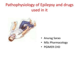 Pathophysiology of Epilepsy and drugs
used in it
• Anurag Sarao
• MSc Pharmacology
• PGIMER CHD
 