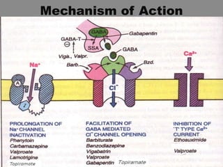 Mechanism of Action
 