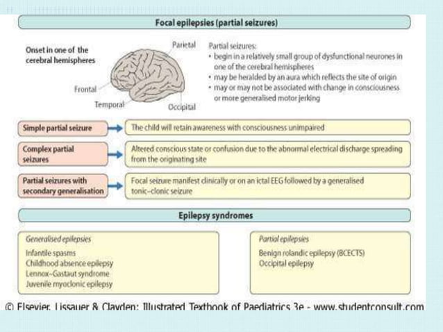 pediatrics. epilepsy and seizures in children 8.ppt | Brain and Nervous ...