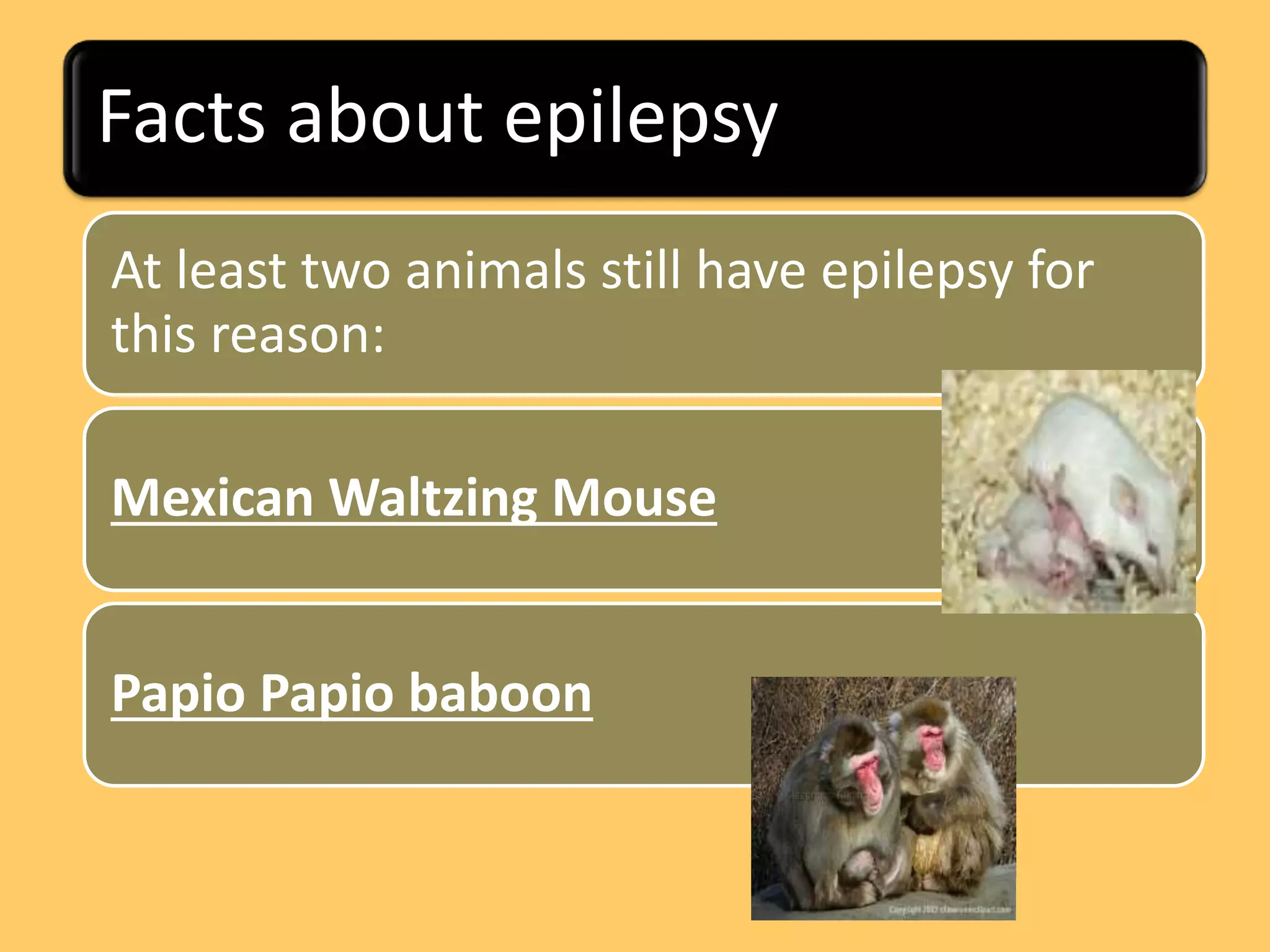 Epilepsy and its management (ppt) | PPTX