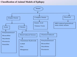 Presentation on Epilepsy and Its Animal Models | PPTX