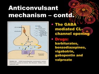 Anticonvulsant
mechanism – contd.
• The GABA
mediated CL-
channel opening
• Drugs:
barbiturates,
benzodiazepines,
vigabatrin,
gabapentin and
valproate
 