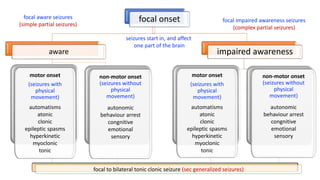 focal onset
aware impaired awareness
motor onset
(seizures with
physical
movement)
automatisms
atonic
clonic
epileptic spasms
hyperkinetic
myoclonic
tonic
non-motor onset
(seizures without
physical
movement)
autonomic
behaviour arrest
congnitive
emotional
sensory
motor onset
(seizures with
physical
movement)
automatisms
atonic
clonic
epileptic spasms
hyperkinetic
myoclonic
tonic
non-motor onset
(seizures without
physical
movement)
autonomic
behaviour arrest
congnitive
emotional
sensory
focal to bilateral tonic clonic seizure (sec generalized seizures)
seizures start in, and affect
one part of the brain
focal aware seizures
(simple partial seizures)
focal impaired awareness seizures
(complex partial seizures)
 