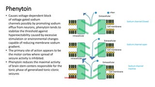 Phenytoin
• Causes voltage-dependent block
of voltage gated sodium
channels possibly by promoting sodium
efflux from neurons, phenytoin tends to
stabilize the threshold against
hyperexcitability caused by excessive
stimulation or environmental changes
capable of reducing membrane sodium
gradient.
• The primary site of action appears to be
the motor cortex where spread of
seizure activity is inhibited.
• Phenytoin reduces the maximal activity
of brain stem centers responsible for the
tonic phase of generalized tonic-clonic
seizures
 