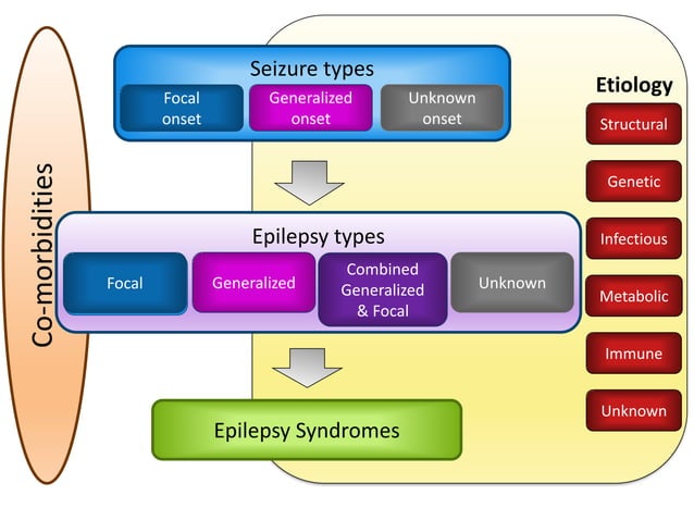 Epilepsy in children 2021 | PDF | Brain and Nervous System Disorders ...
