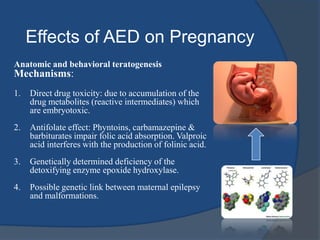 Effects of Pregnancy on EpilepsySeizure frequency may increase: Sleep deprivation, hormonal changes of pregnancy (high Estrogen), associated psychological and emotional stress of pregnancy: all lower  threshold for seizures.Nausea and vomiting.Seizure frequency may decrease:  Improved compliance with drug regimen in some patients.Seizure frequency may remain unchanged.			