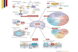 New Antiepileptic drugs | PDF