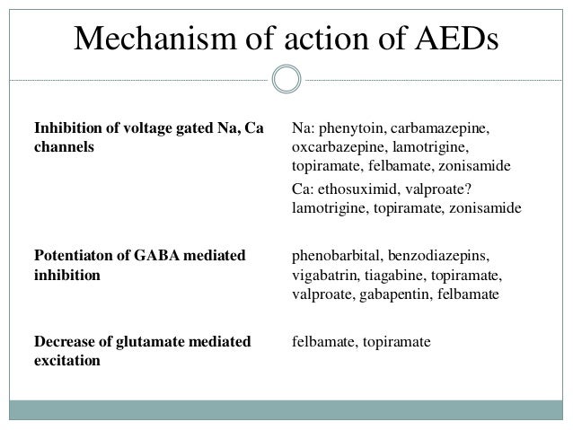 zonisamide side effects in dogs zonisamide side effects zonisamide side effects in dogs zonisamide side effects