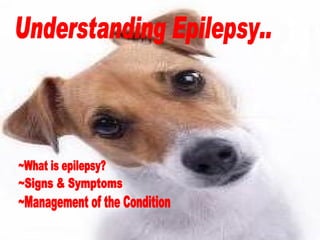 Understanding Epilepsy.. ~Signs & Symptoms ~What is epilepsy? ~Management of the Condition 