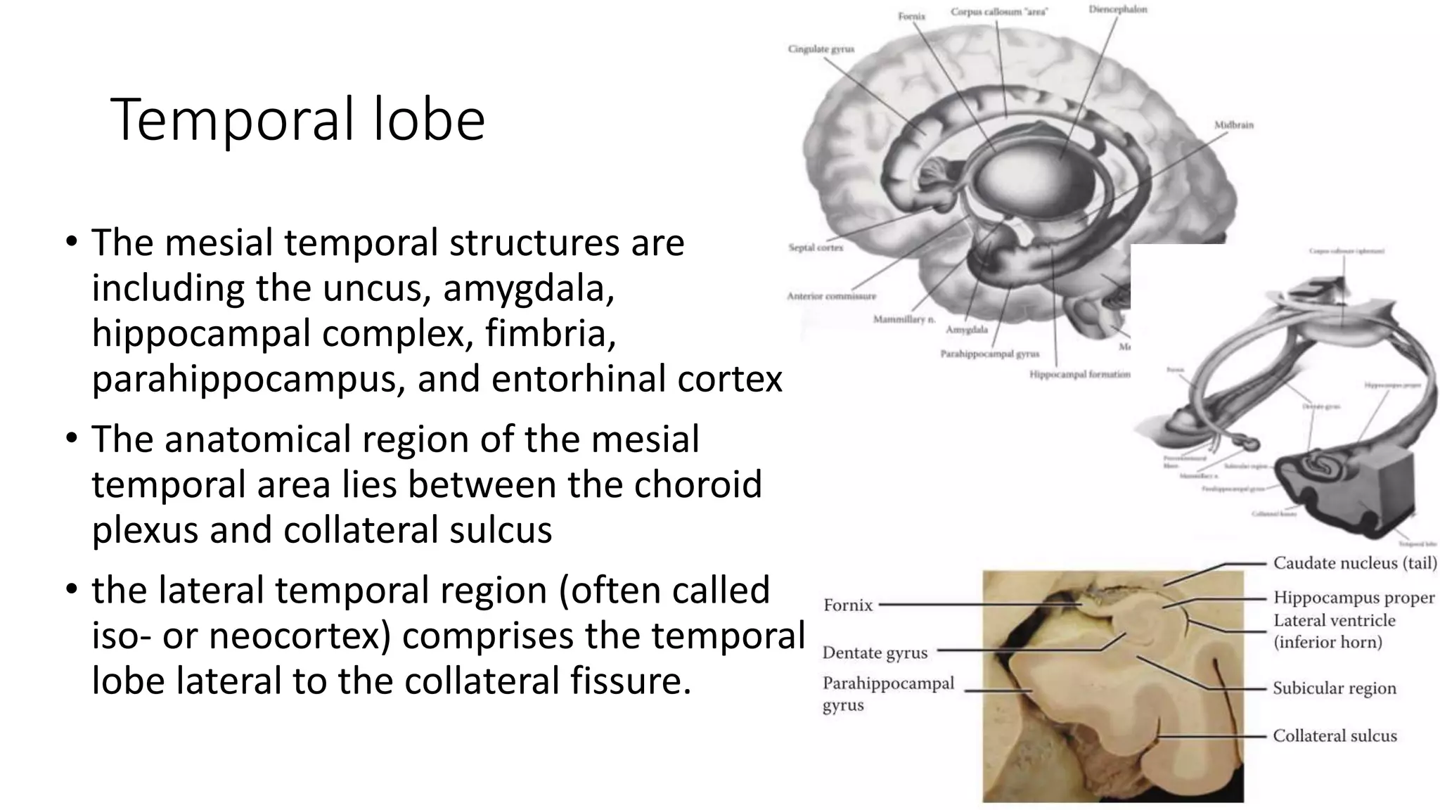 Epilepsy surgery | PPTX