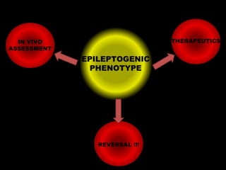 THERAPEUTICS

IN VIVO
ASSESSMENT

EPILEPTOGENIC
PHENOTYPE

REVERSAL !!!

 