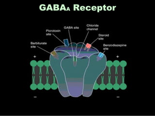 GABAA Receptor

 