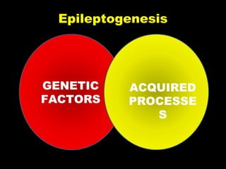 Epileptogenesis

GENETIC
FACTORS

ACQUIRED
PROCESSE
S

 