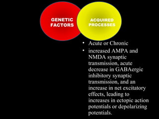 GENETIC
FACTORS

ACQUIRED
PROCESSES

• Acute or Chronic
• increased AMPA and
NMDA synaptic
transmission, acute
decrease in GABAergic
inhibitory synaptic
transmission, and an
increase in net excitatory
effects, leading to
increases in ectopic action
potentials or depolarizing
potentials.

 