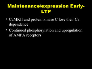 Maintenance/expression EarlyLTP
• CaMKII and protein kinase C lose their Ca
dependence
• Continued phosphorylation and upregulation
of AMPA receptors

 