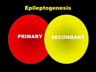 Epileptogenesis

PRIMARY

SECONDARY

 