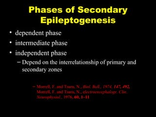 Phases of Secondary
Epileptogenesis
• dependent phase
• intermediate phase
• independent phase
– Depend on the interrelationship of primary and
secondary zones
– Morrell, F. and Tsuru, N., Biol. Bull., 1974, 147, 492,
Morrell, F. and Tsuru, N., electroencephalogr. Clin.
Neurophysiol., 1976, 60, 1–11

 