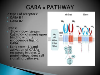 2 types of receptors:
 GABA B 1
 GABA B2
Types:
 Slow - downstream
Ca2+/K+ channels upon
binding with its
endogenous ligand,
GABA.
 Long term- Ligand
activation of GABAB
receptors initiates G
protein–dependent cell
signaling pathways.
 