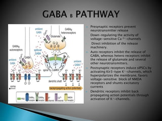  Presynaptic receptors prevent
neurotransmitter release
• Down-regulating the activity of
voltage-sensitive Ca 2+-channels
• Direct inhibition of the release
machinery.
 Auto receptors inhibit the release of
GABA, whereas hetero receptors inhibit
the release of glutamate and several
other neurotransmitters.
 Postsynaptic receptors induce sIPSCs by
activating Kir3-type K+-channels, which
hyperpolarizes the membrane, favors
voltage-sensitive block of NMDA
receptors and shunts excitatory
currents
 Dendritic receptors inhibit back
propagating action potentials through
activation of K+-channels.
 