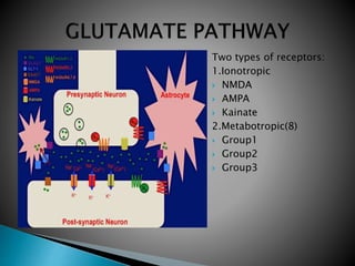 Two types of receptors:
1.Ionotropic
 NMDA
 AMPA
 Kainate
2.Metabotropic(8)
 Group1
 Group2
 Group3
 