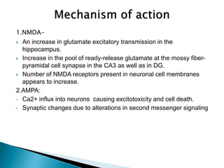 1.NMDA-
 An increase in glutamate excitatory transmission in the
hippocampus.
 Increase in the pool of ready-release glutamate at the mossy fiber-
pyramidal cell synapse in the CA3 as well as in DG.
 Number of NMDA receptors present in neuronal cell membranes
appears to increase.
2.AMPA:
• Ca2+ influx into neurons causing excitotoxicity and cell death.
• Synaptic changes due to alterations in second messenger signaling
 