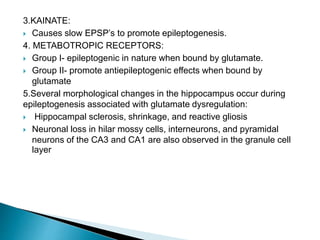3.KAINATE:
 Causes slow EPSP’s to promote epileptogenesis.
4. METABOTROPIC RECEPTORS:
 Group I- epileptogenic in nature when bound by glutamate.
 Group II- promote antiepileptogenic effects when bound by
glutamate
5.Several morphological changes in the hippocampus occur during
epileptogenesis associated with glutamate dysregulation:
 Hippocampal sclerosis, shrinkage, and reactive gliosis
 Neuronal loss in hilar mossy cells, interneurons, and pyramidal
neurons of the CA3 and CA1 are also observed in the granule cell
layer
 