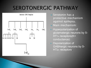  Serotonin has a
protective mechanism
against epilepsy.
 Main mechanism:
 Hyperpolarization of
glutamatergic neurons by 5-
HT1A receptors(K+
conductance)
 Depolarization of
GABAergic neurons by 5-
HT2C receptors.
 