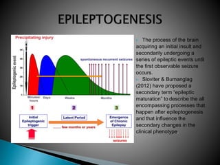  The process of the brain
acquiring an initial insult and
secondarily undergoing a
series of epileptic events until
the first observable seizure
occurs.
 Sloviter & Bumanglag
(2012) have proposed a
secondary term “epileptic
maturation” to describe the all
encompassing processes that
happen after epileptogenesis
and that influence the
secondary changes in the
clinical phenotype.
 