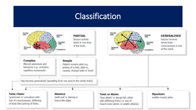 Seizure Classification Chart