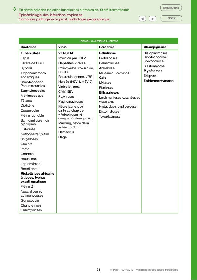 pdf mou chancre pdf E pillytrop