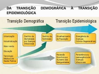 DA TRANSIÇÃO DEMOGRÁFICA À TRANSIÇÃO
EPIDEMIOLÓGICA
 