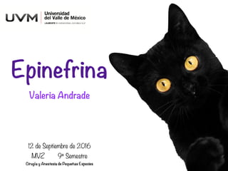 Epinefrina
Valeria Andrade
12 de Septiembre de 2016
MVZ 9º Semestre
Cirugía y Anestesia de Pequeñas Especies
 