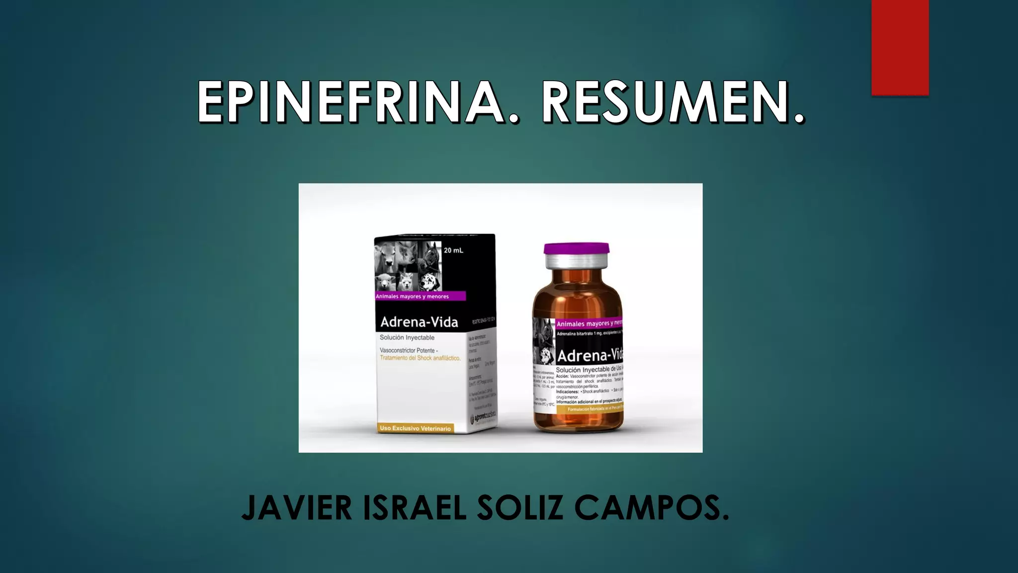 Epinefrina adrenalina resumen. | PPT