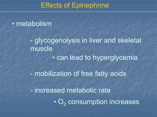 Effects of Epinephrine

• metabolism

     - glycogenolysis in liver and skeletal
     muscle
            • can lead to hyperglycemia

     - mobilization of free fatty acids

     - increased metabolic rate
               • O2 consumption increases
 