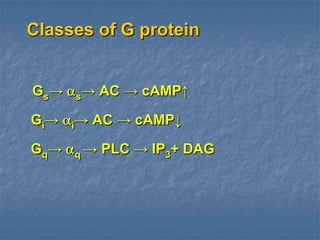Classes of G protein


Gs→    s→   AC → cAMP↑

Gi→    i→   AC → cAMP↓

G q→   q→    PLC → IP3+ DAG
 