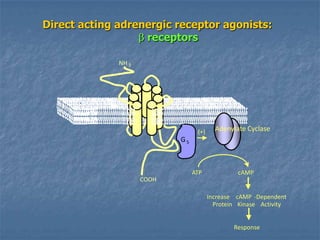 Direct acting adrenergic receptor agonists:
                   receptors

              NH 3




                                  (+)     Adenylate Cyclase
                            GS



                                 ATP             cAMP
                     COOH

                                        Increase cAMP -Dependent
                                          Protein Kinase Activity


                                                Response
 