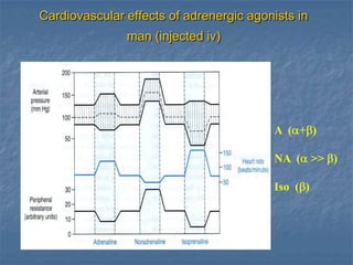 Cardiovascular effects of adrenergic agonists in
               man (injected iv)




                                         A ( + )

                                         NA ( >> )

                                         Iso ( )
 