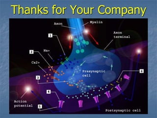 Thanks for Your Company
 