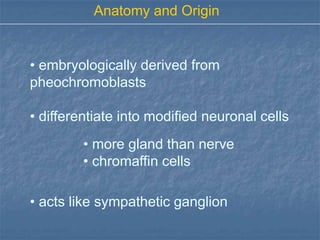 Anatomy and Origin


• embryologically derived from
pheochromoblasts

• differentiate into modified neuronal cells
         • more gland than nerve
         • chromaffin cells

• acts like sympathetic ganglion
 