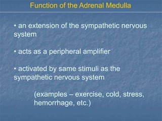 Function of the Adrenal Medulla

• an extension of the sympathetic nervous
system

• acts as a peripheral amplifier

• activated by same stimuli as the
sympathetic nervous system

      (examples – exercise, cold, stress,
      hemorrhage, etc.)
 
