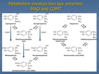 Metabolism involves two key enzymes:
          MAO and COMT
 