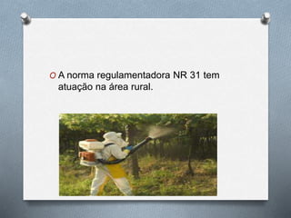 O A norma regulamentadora NR 31 tem 
atuação na área rural. 
 