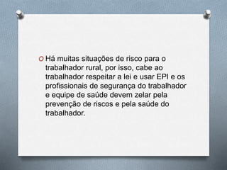 O Há muitas situações de risco para o 
trabalhador rural, por isso, cabe ao 
trabalhador respeitar a lei e usar EPI e os 
profissionais de segurança do trabalhador 
e equipe de saúde devem zelar pela 
prevenção de riscos e pela saúde do 
trabalhador. 
 