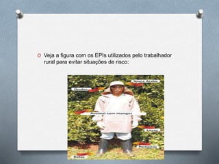 O Veja a figura com os EPIs utilizados pelo trabalhador 
rural para evitar situações de risco: 
 