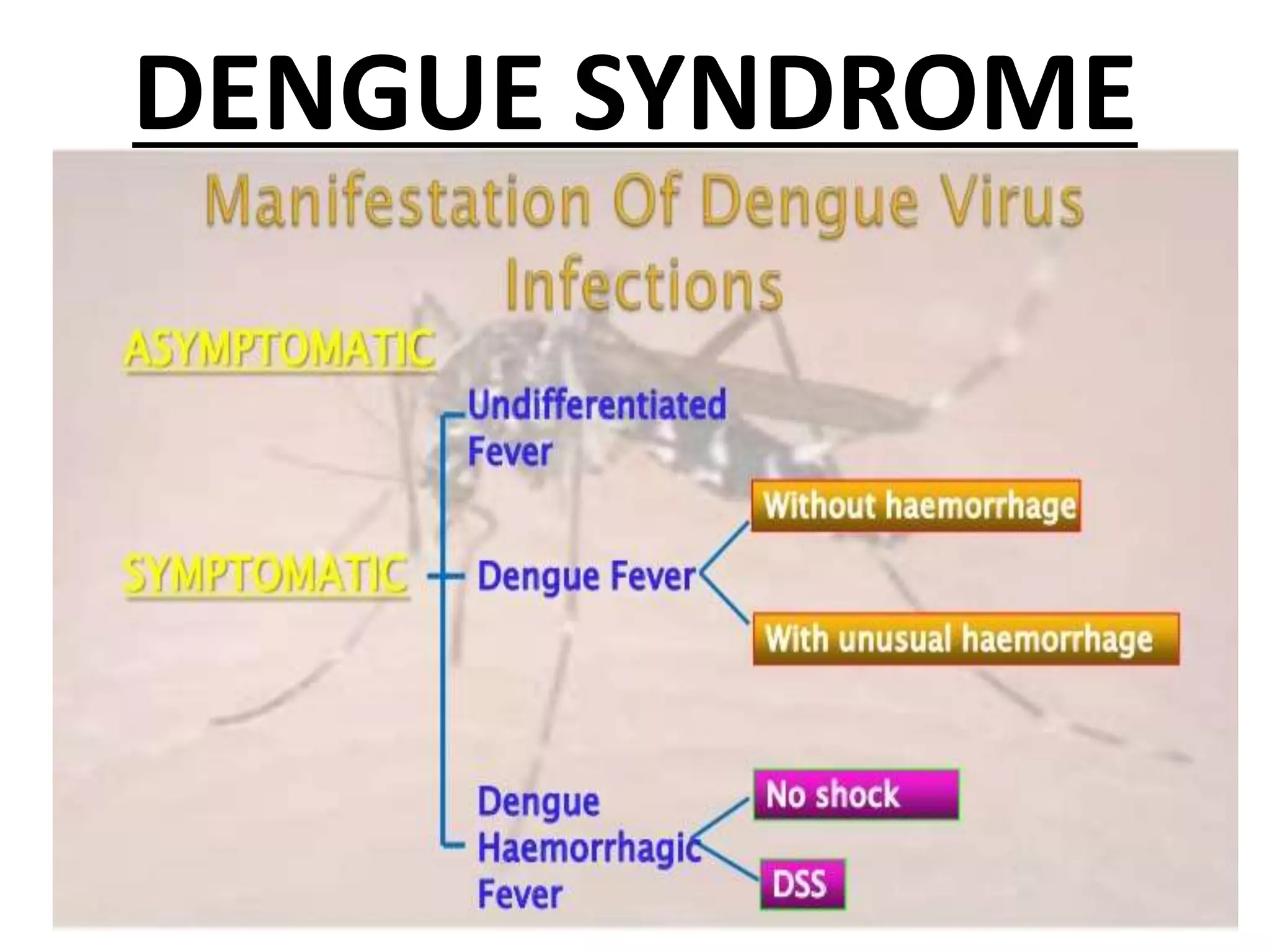 DENGUE SYNDROME
 