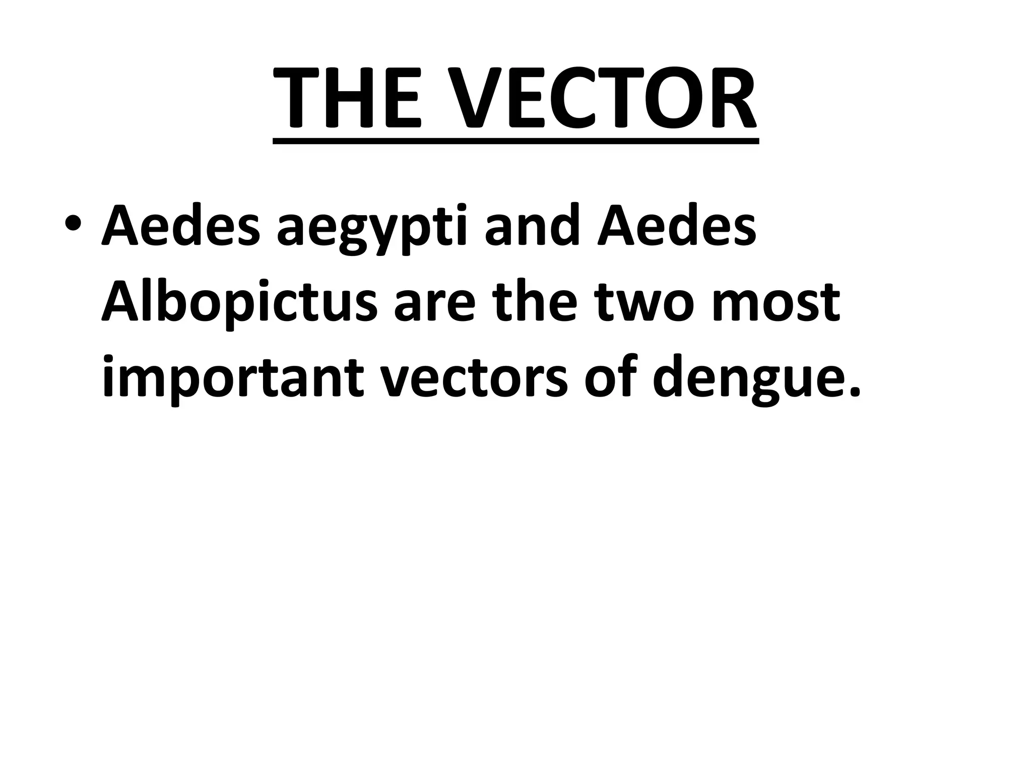 THE VECTOR
• Aedes aegypti and Aedes
Albopictus are the two most
important vectors of dengue.
 