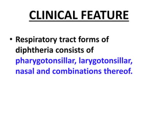 CLINICAL FEATURE
• Respiratory tract forms of
diphtheria consists of
pharygotonsillar, larygotonsillar,
nasal and combinations thereof.
 