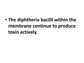 • The diphtheria bacilli within the
membrane continue to produce
toxin actively.
 